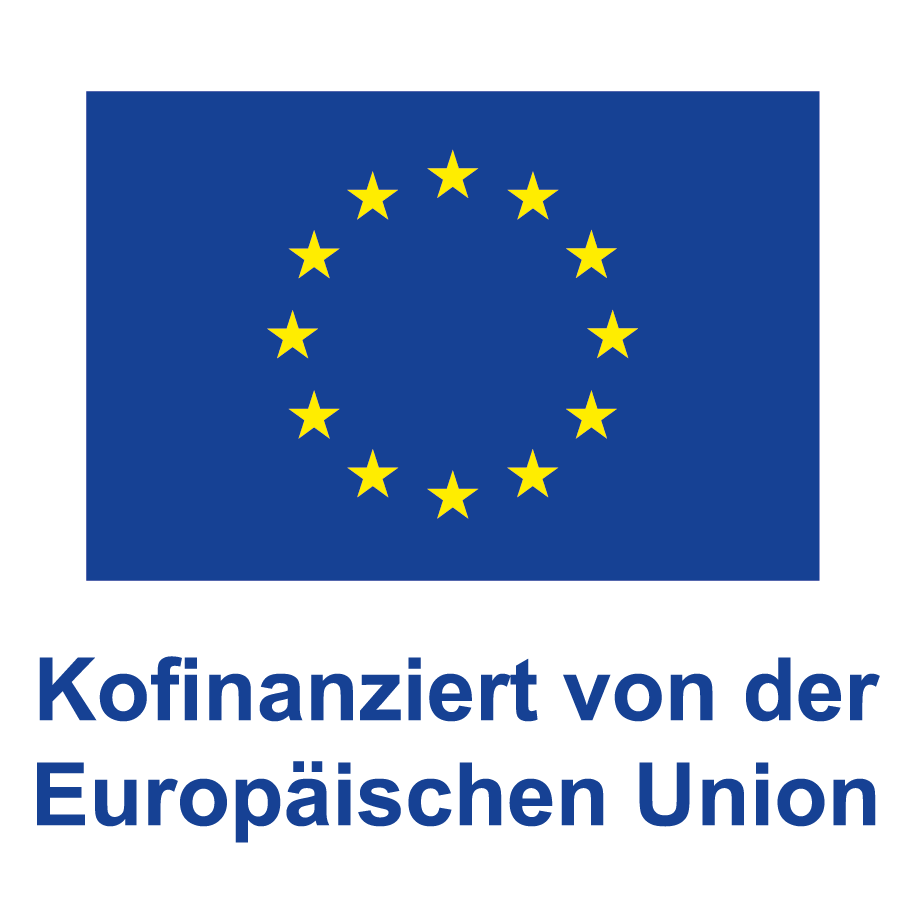 Co-funded by the European Union